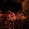 紅葉ライトアップ