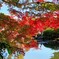 長府庭園の紅葉　④