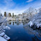 雪の永観堂