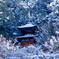 雪の永観堂