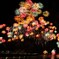 fireworks～琵琶湖～（８）