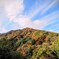 大山紅葉6