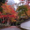 古寺の紅葉