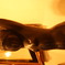 DSC00088