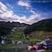 Stone wall rice field☆