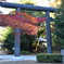 紅葉鳥居