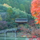 永保寺紅葉二