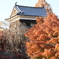紅葉と上田城跡