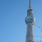 DSCF2652朝のスカイツリー