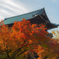 南禅寺山門と紅葉