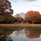 秋の中央公園