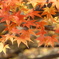 秋の里山で8(紅葉4)