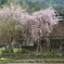 白川郷