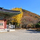 Korea紀行(梵魚寺の紅葉-8)