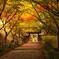 秋の山門