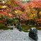 晩秋の枯山水