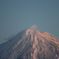 朝の富士山