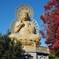 刈宿の　大仏 　紅葉