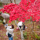 紅葉撮り