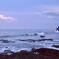 海の風景・午後