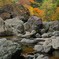 紅葉の渓流 - ②