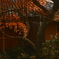 秋の庭園