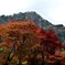 深耶馬渓の紅葉１