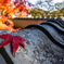 瓦×ひとひらの紅葉　其の参