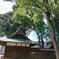 [本郷神社]