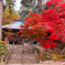 大国寺 紅葉 3