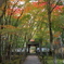 京都で紅葉探し１地蔵院