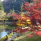紅葉・古峯園♪2
