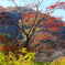 紅葉・古峯園♪4