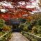 紅葉の参道