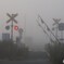 霧立ち込める朝 2/2