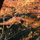 紅葉２