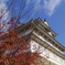 城・空・紅葉