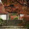 石段と紅葉の山門
