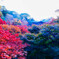 晩秋の東福寺の彩