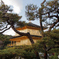 金閣寺6
