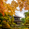 秋の銀閣寺