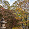 秋色に染まる