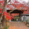 薬王寺　紅葉