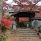 薬王寺　紅葉