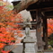 薬王寺　紅葉