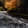紅葉路の影