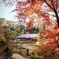 紅葉越しのお堂