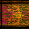瑠璃光院の紅葉