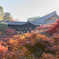 東福寺の秋、朝。