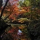 紅葉と水鏡